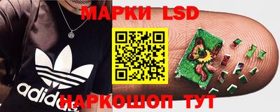гидра Заволжье