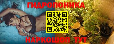 дурь Заводоуковск