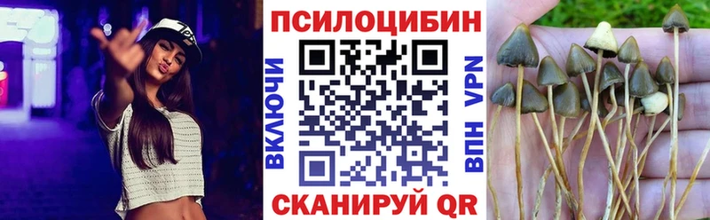 закладка  ОМГ ОМГ онион  Галлюциногенные грибы Magic Shrooms  Салават 